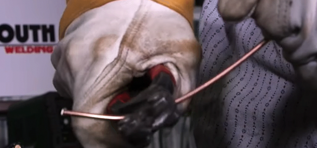 Confused on how to pronounce the name KNIPEX?